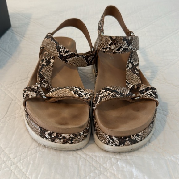 JSlides Blakley Platform Sandel Nude Snake